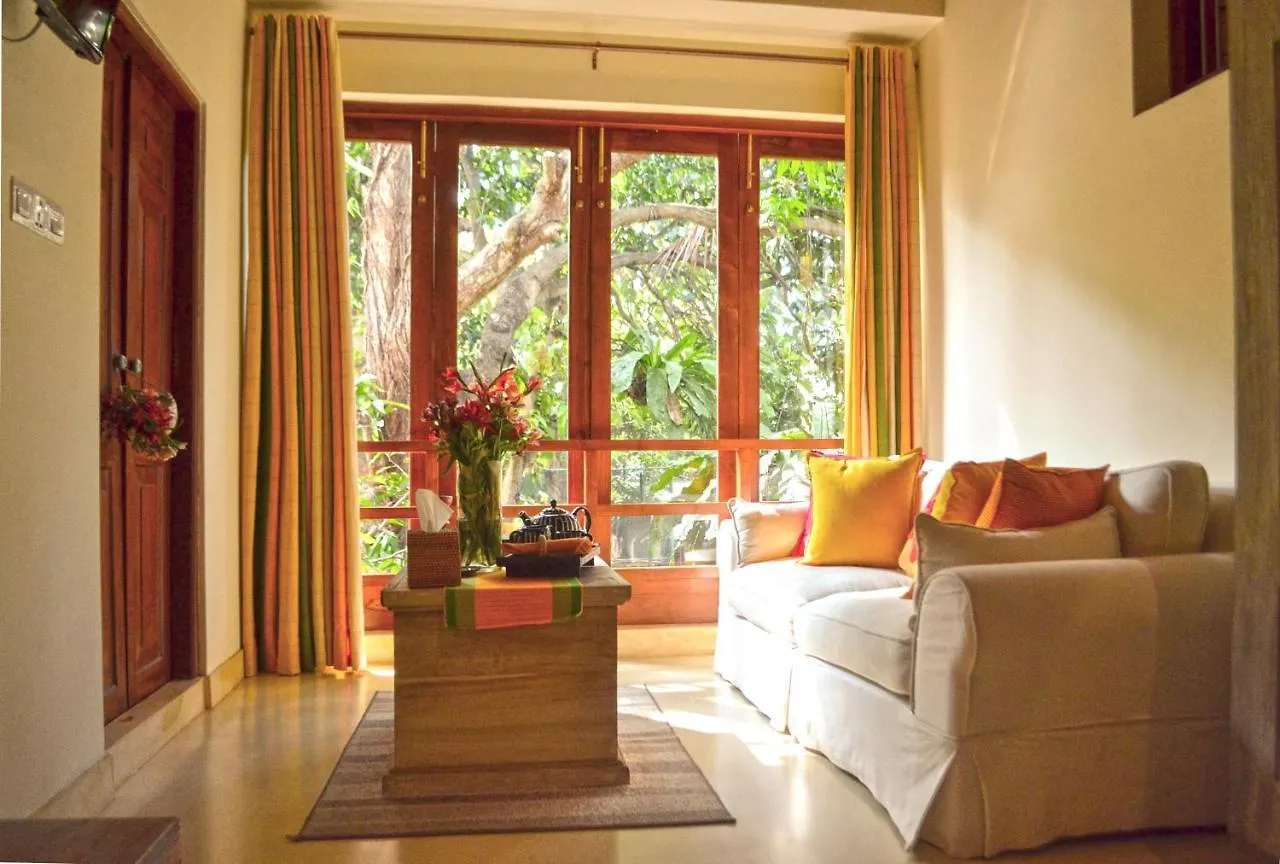 Urban Bliss Studio Colombo